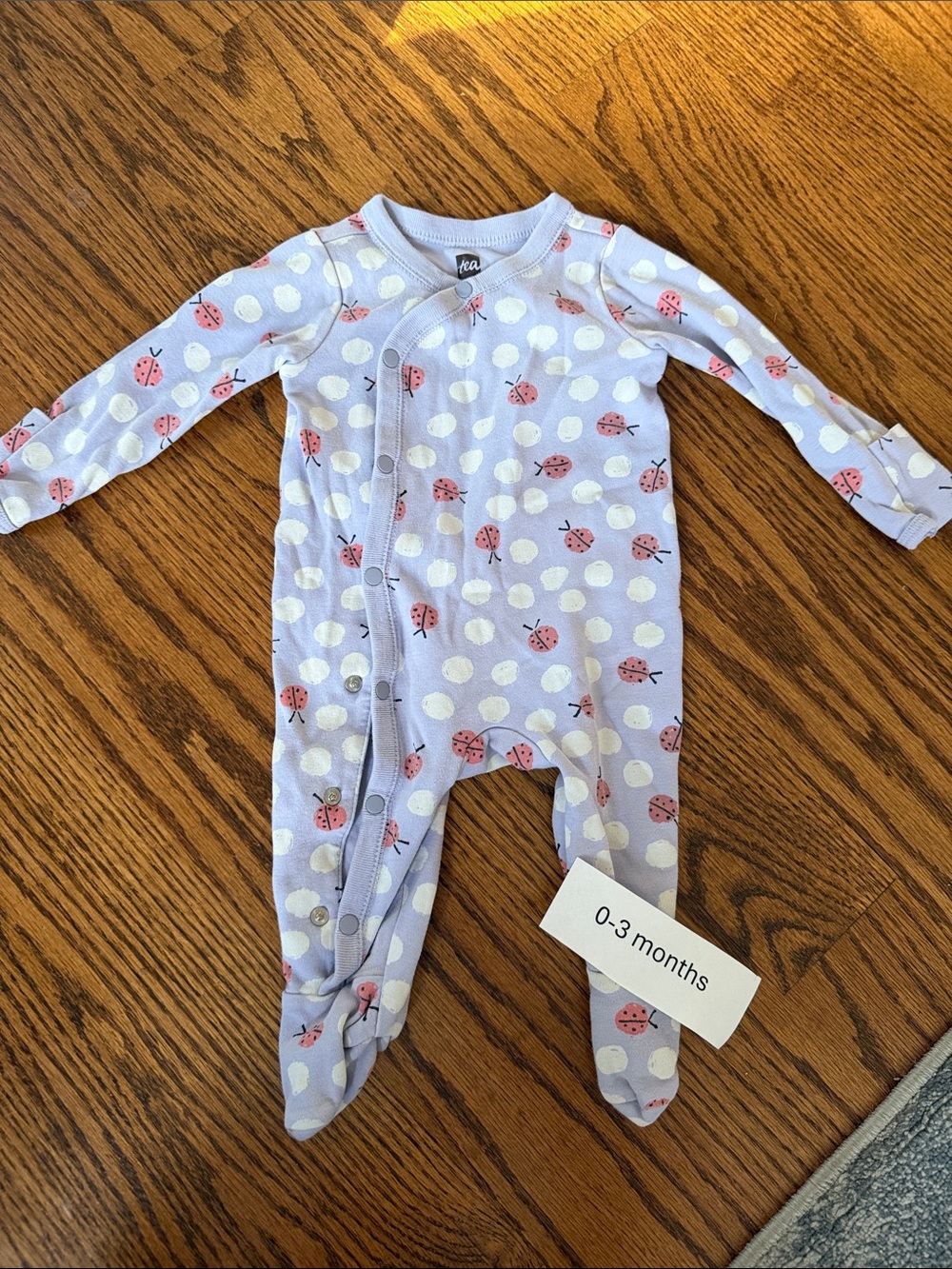 Tea Collection Lavender Polka Dot Footed One-Piece with Pink Ladybugs
